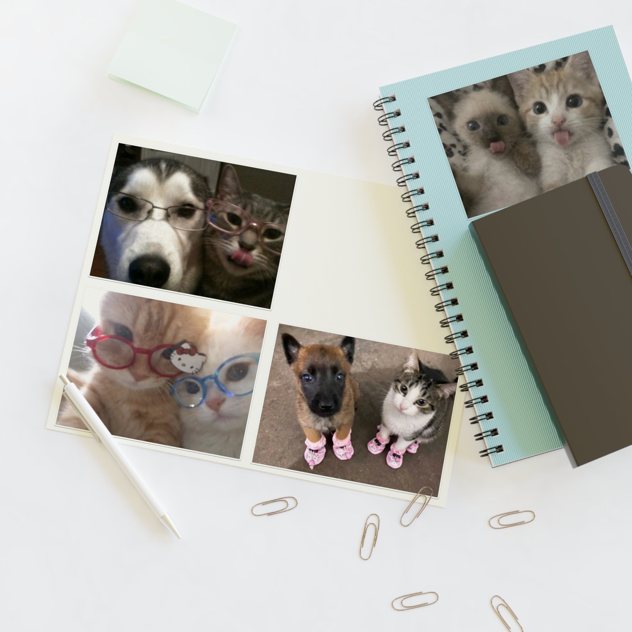 Cat Couples Sticker Pack B (Photo) — 4 Die-Cut Stickers (11x8.5" sheet)