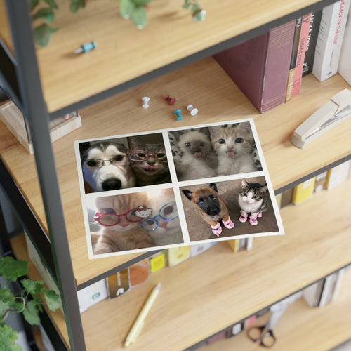 Cat Couples Sticker Pack B (Photo) — 4 Die-Cut Stickers (11x8.5" sheet)
