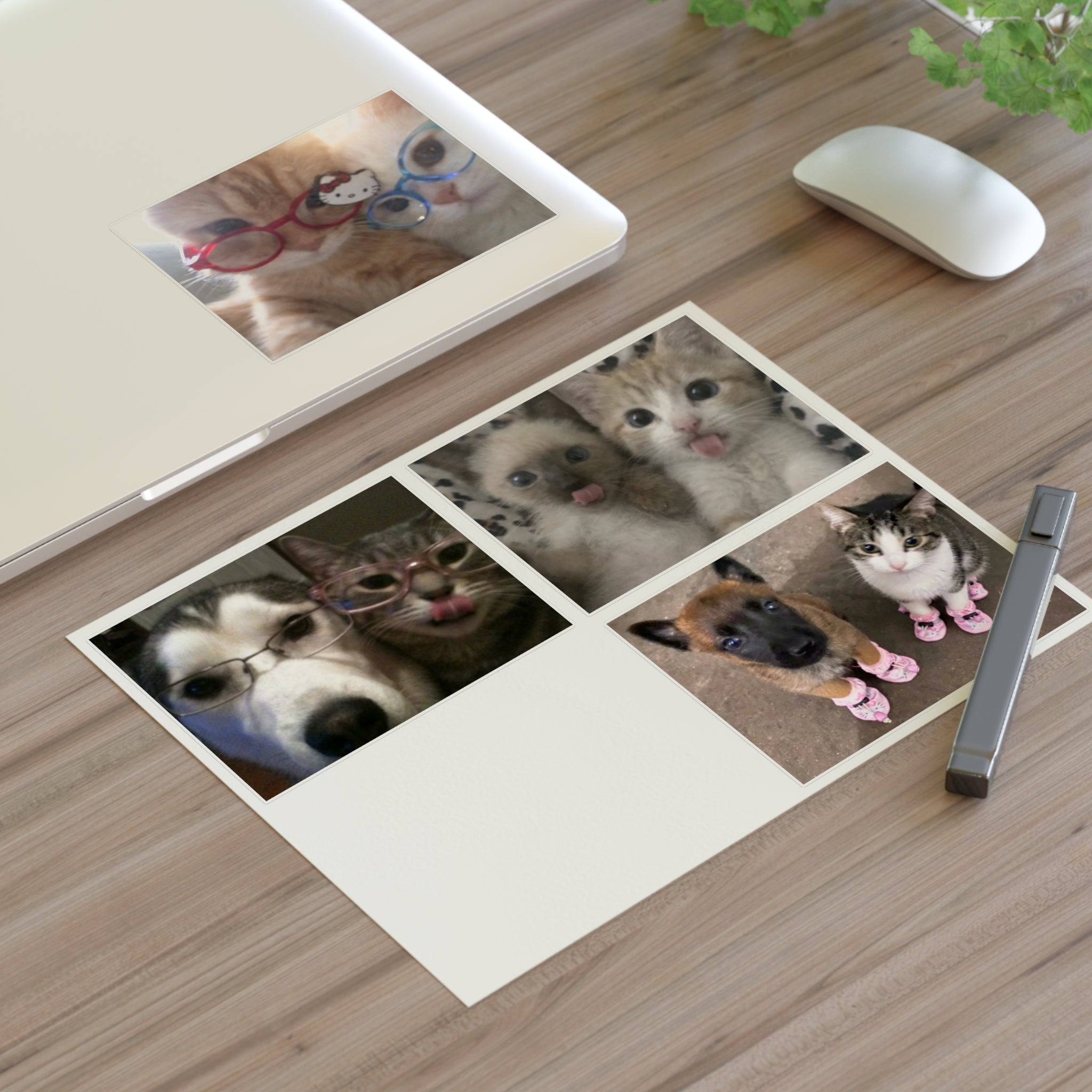 Cat Couples Sticker Pack B (Photo) — 4 Die-Cut Stickers (11x8.5" sheet)